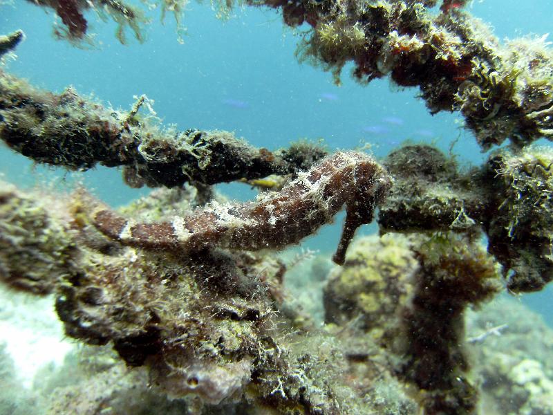 2011-09-14 00-54-35 Steven.JPG